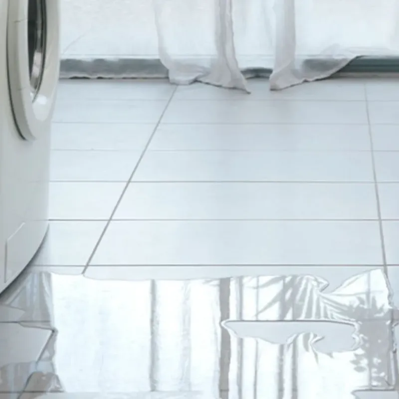 Appliance Leak Cleanup in Springfield, IL