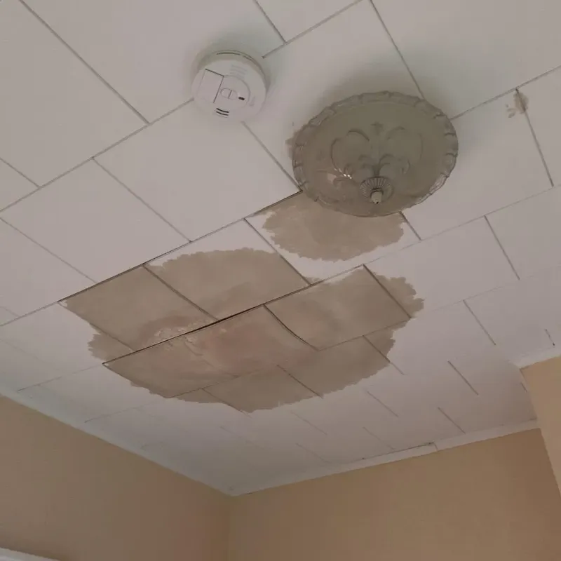 Ceiling Water Damage Repair in Springfield, IL