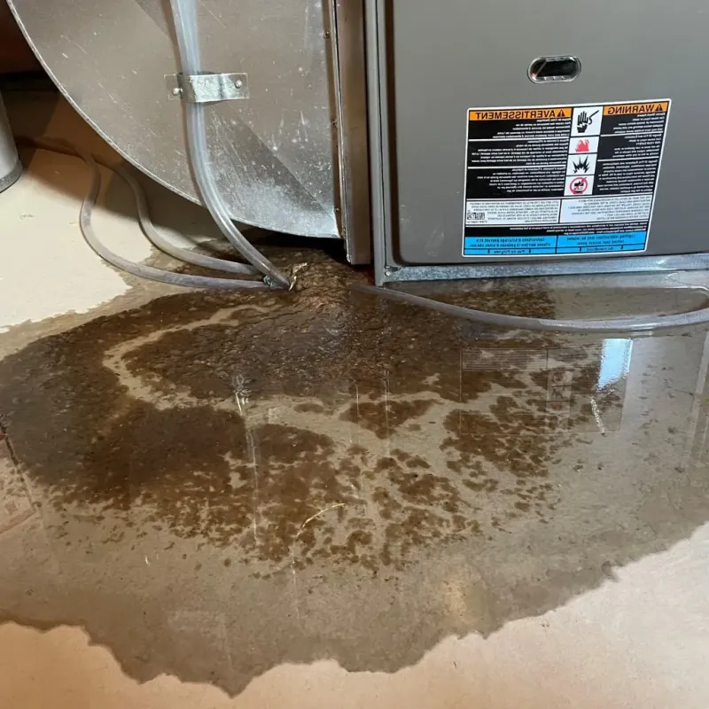 Pipe Burst and Leak Restoration in Springfield, IL