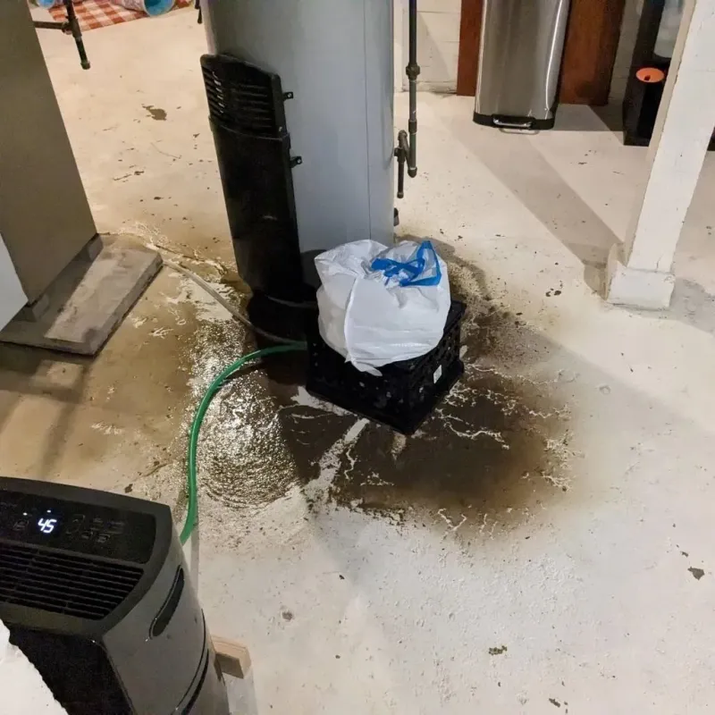 Sewage Backup Cleanup Service in Springfield, IL